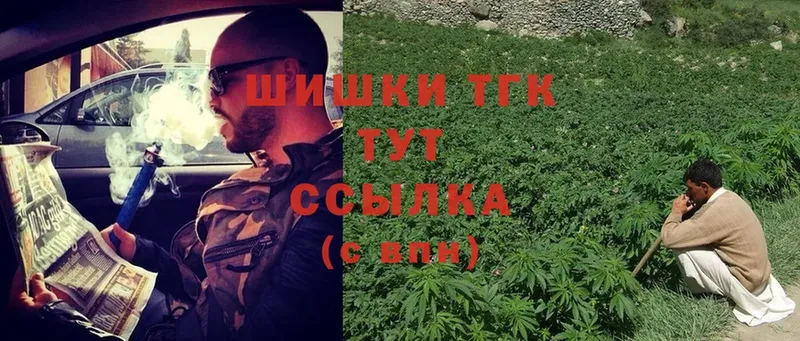 Шишки марихуана OG Kush  Вологда 